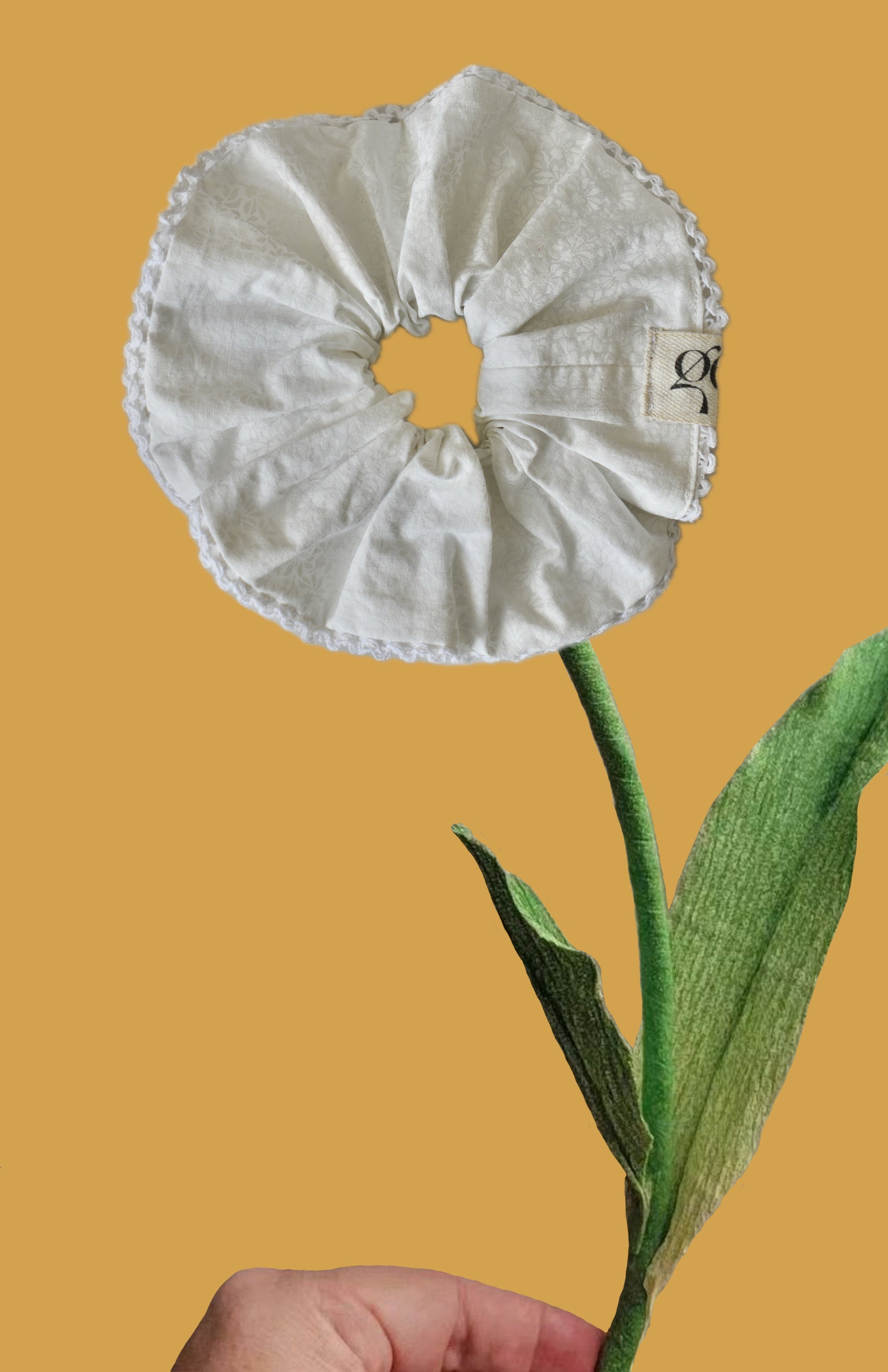 Coleteros GEA
