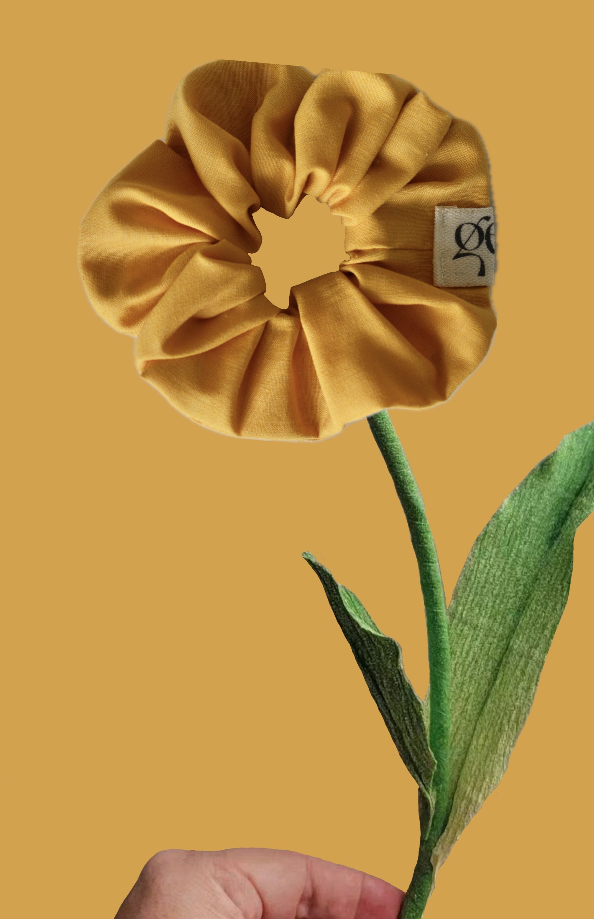 Coleteros GEA
