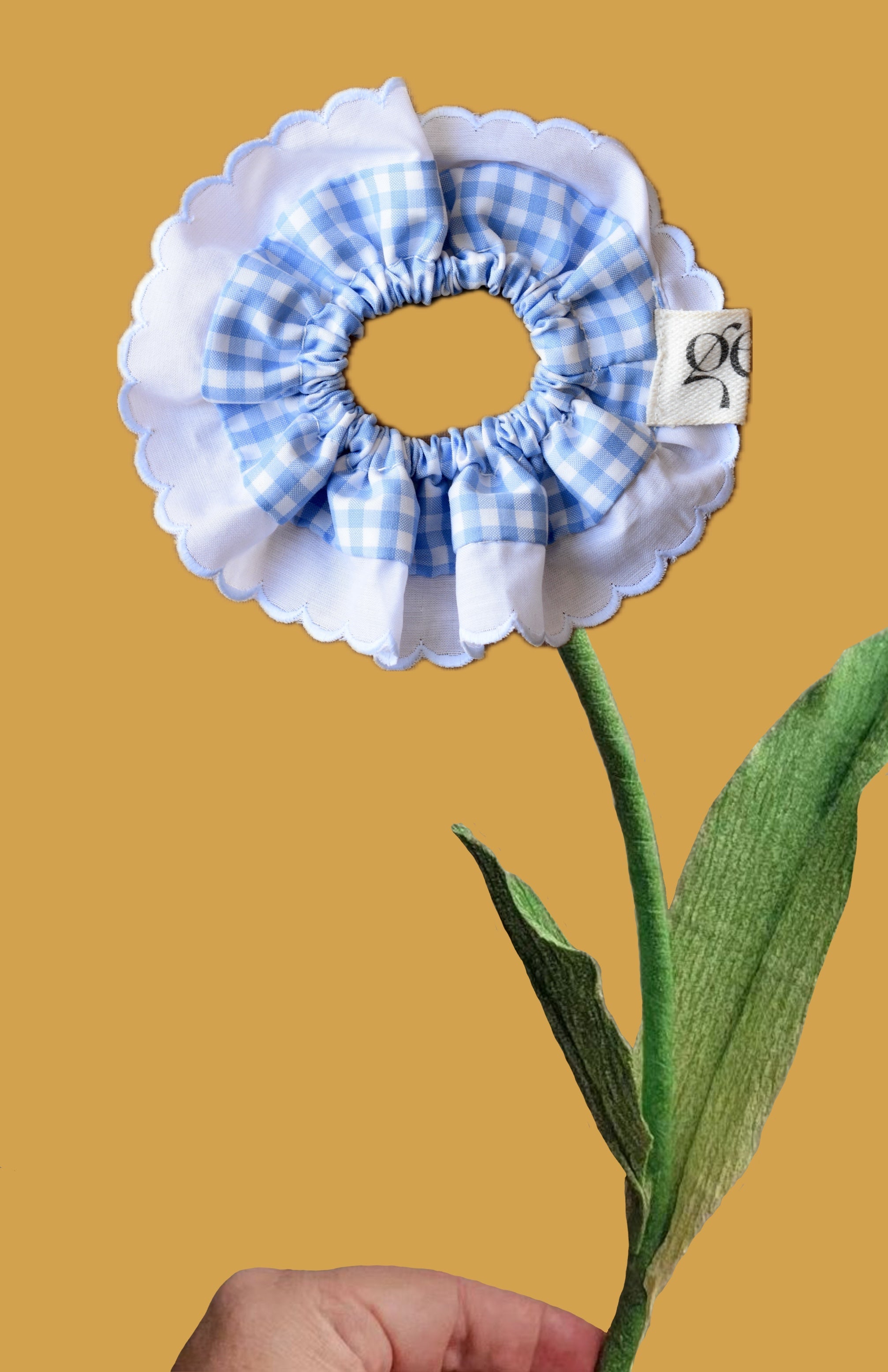 Coleteros GEA