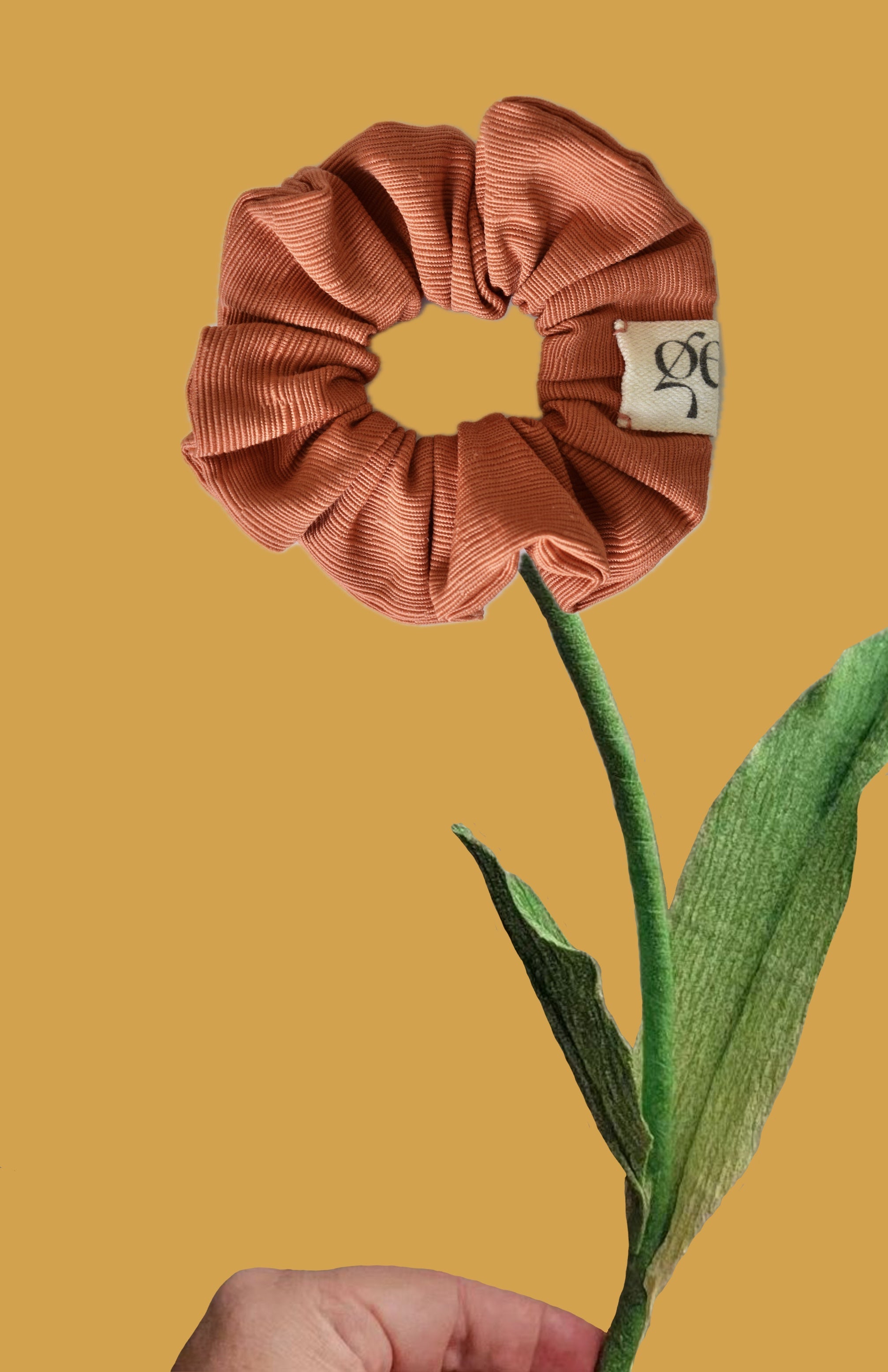 Coleteros GEA